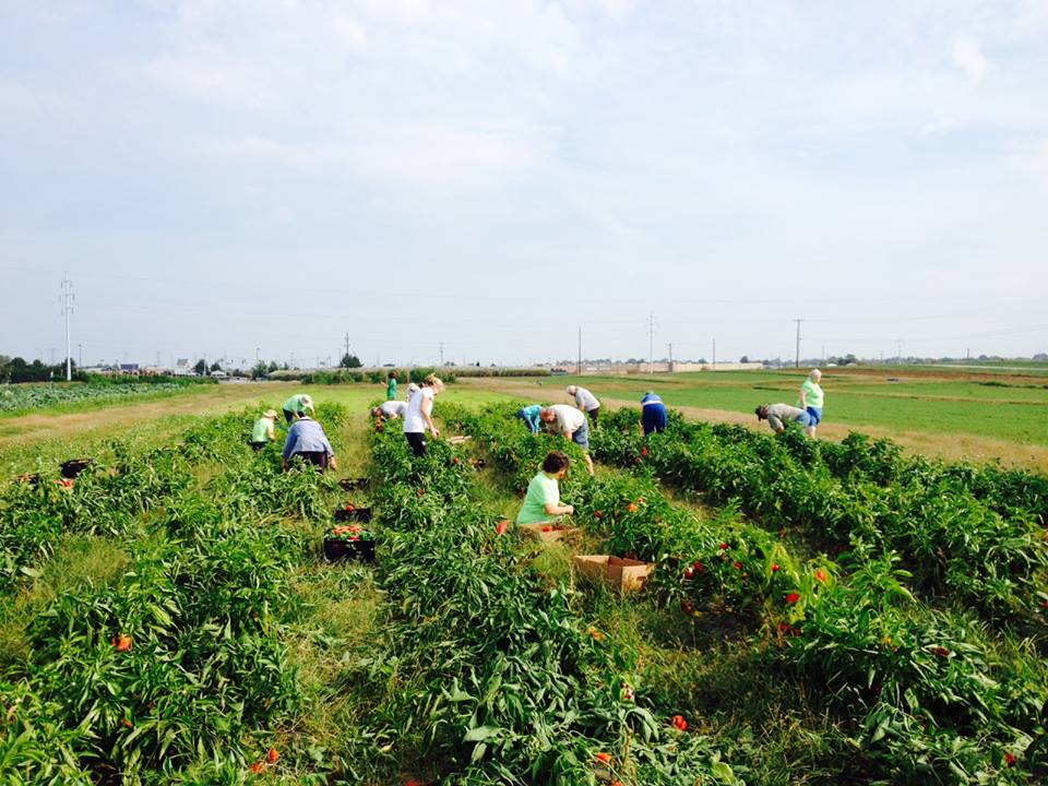 GleanKY photo