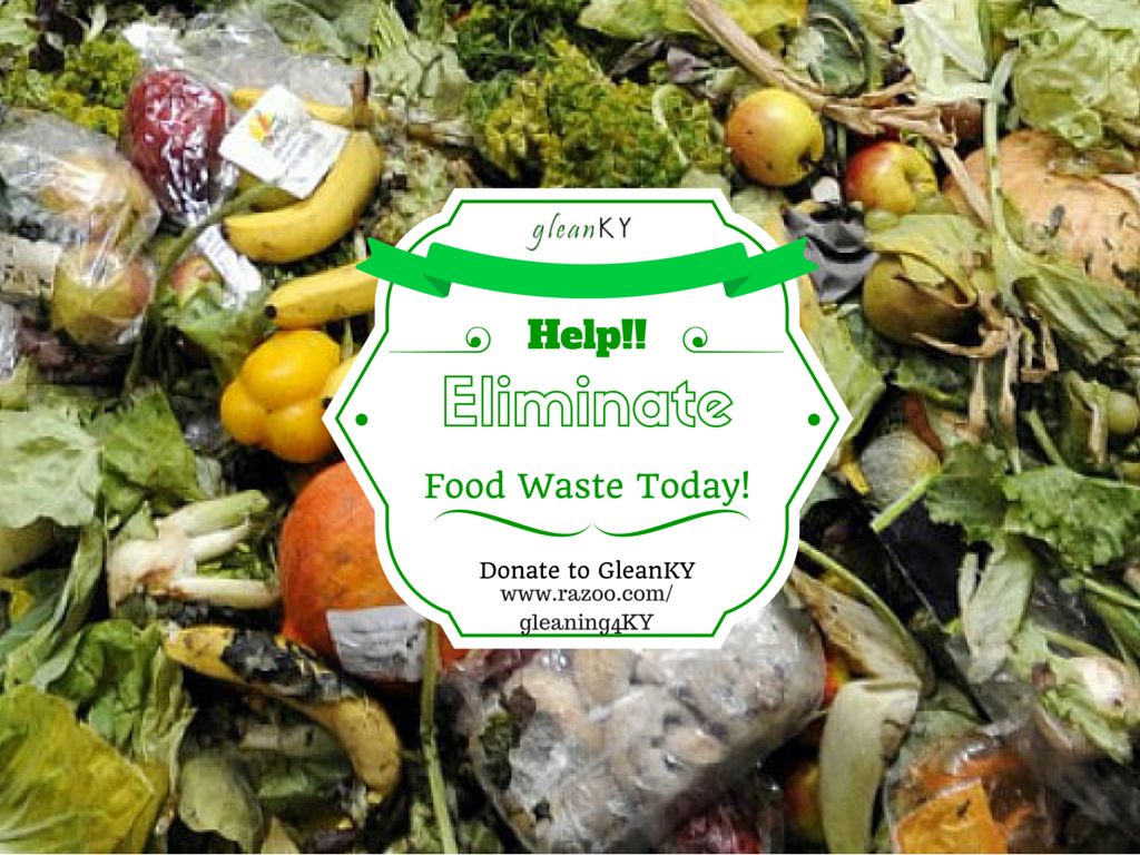 Help GleanKY Eliminate Food Waste