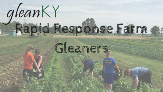 Rapid Response Gleaners