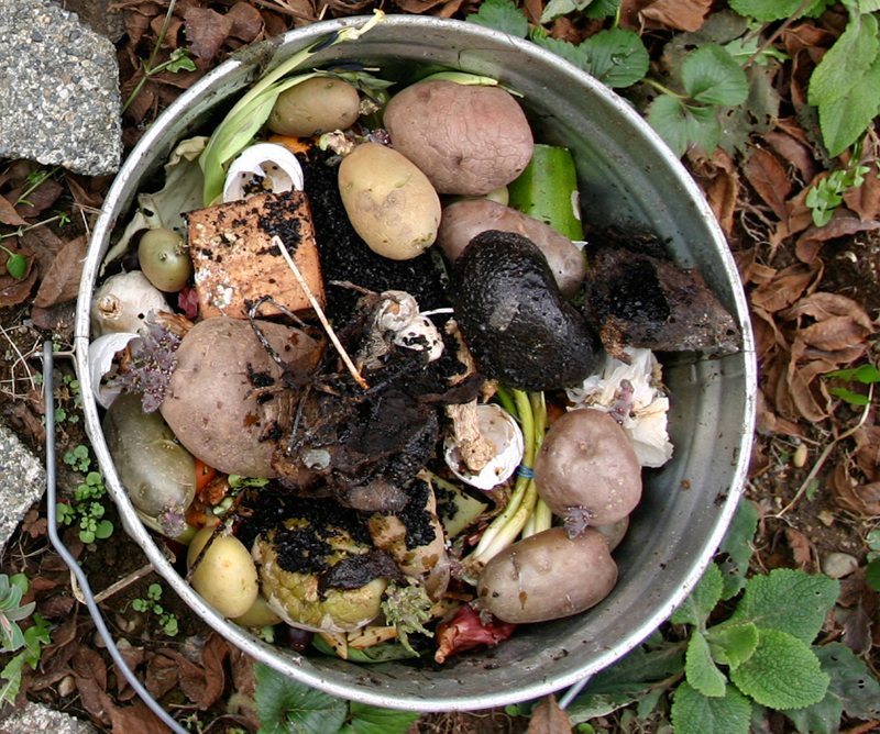 Composting With GleanKY