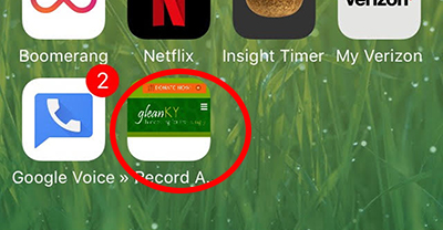 How To Add The Record-A-Gleaning Form To Your Phone