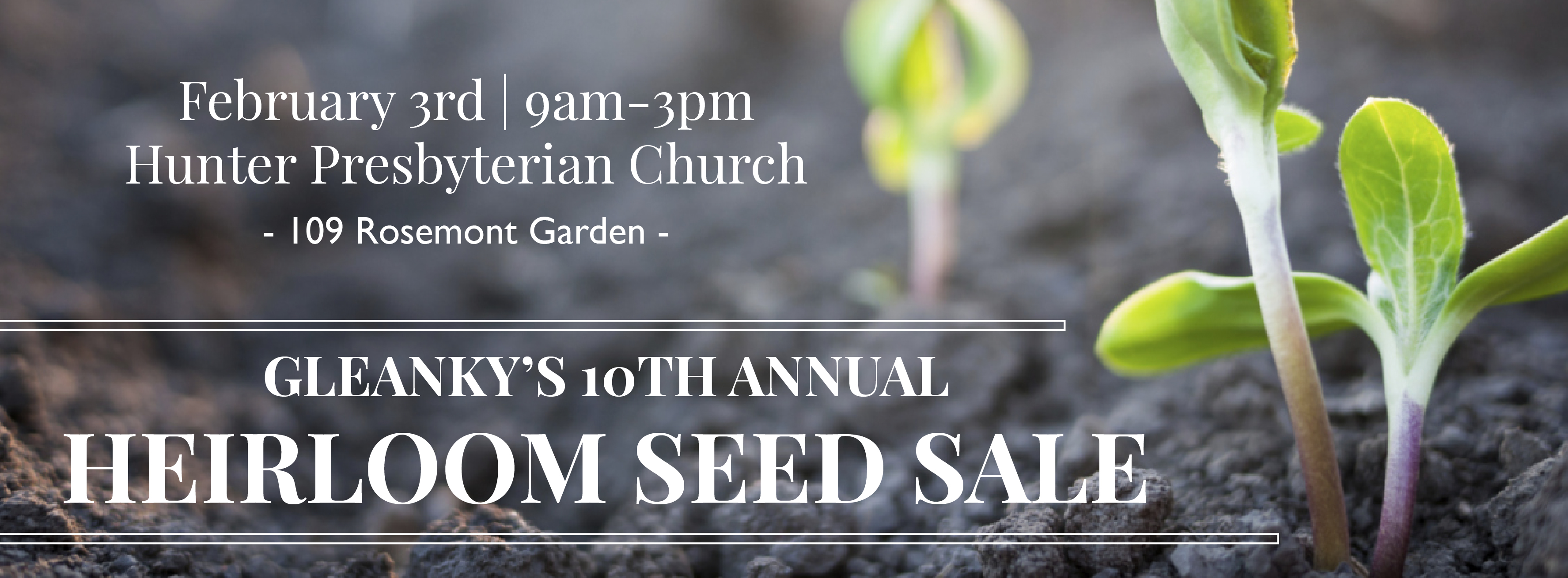 10th Annual Heirloom Seed Sale