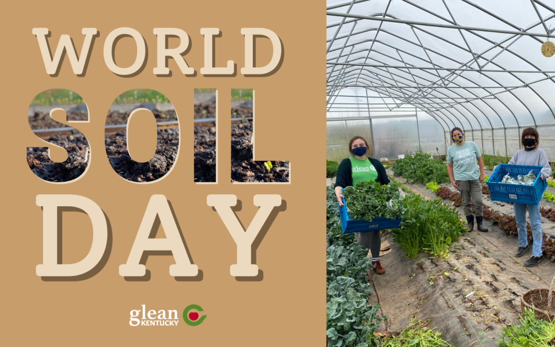 World Soil Day