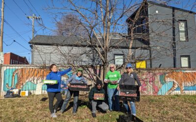 Gleaning Food in the City…Off of Trees?