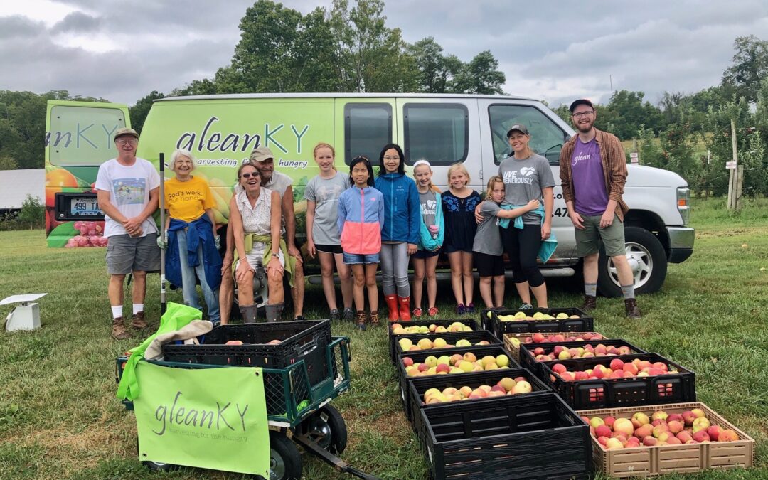 Apple Gleaning Season Is Nearly Here!